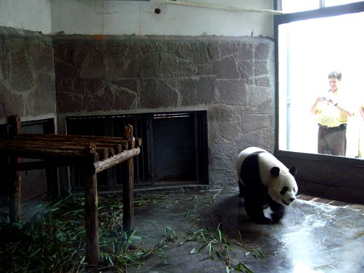 Panda House