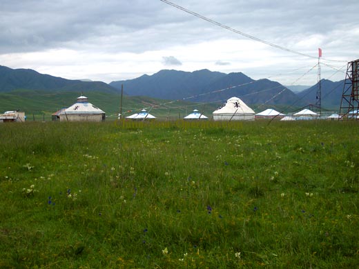 Sangke Grassland 