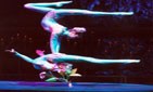 Acrobatic Show